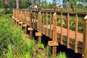 bridge5