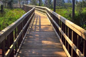 bridge6