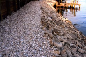 riprap6