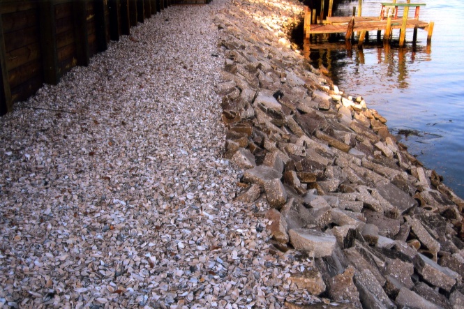 riprap6